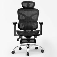 W618 Ergonomic Office Chair